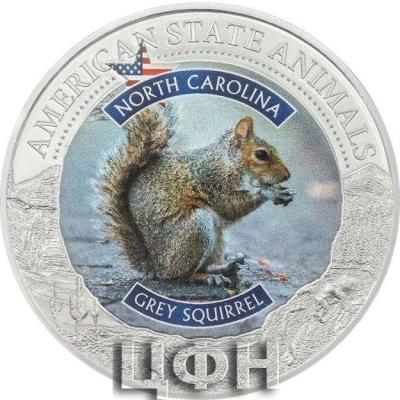 2022 AMERICAN STATE ANIMALS - NORTH CAROLINA.jpg