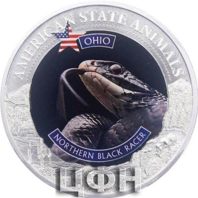 2022 AMERICAN STATE ANIMALS - OHIO.jpg