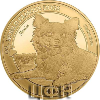 3000 Francs Cameroon 2023 CHIHUAHUA World Famous Dogs 1 Oz Gold Coin.jpg