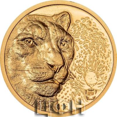 SNOW LEOPARD Wild Mongolia Gold Coin 1000 Togrog Mongolia 2024.jpg