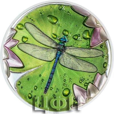 5 Dollars Dragonfly.jpg