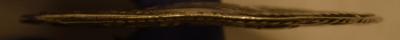 dsc_0782.thumb.jpg.2c6a7986a54f93a67c8c9d05b21350e5.jpg