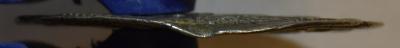 dsc_0783.thumb.jpg.8d8dc139c0af6fcbb051e471aaec6213.jpg