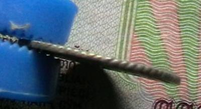 елизавета 005.JPG