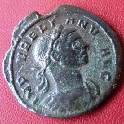 -_67_aurelianus.thumb.jpg.aab663031441b2efb269b05660d41e3f.jpg