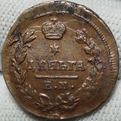 denga-1819-r.jpg