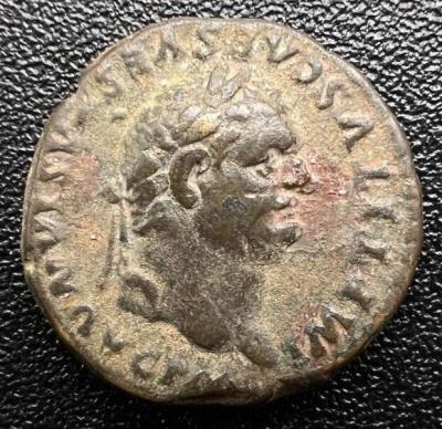 362_titus.thumb.jpg.57fb335ac35f97eabc966e5dd5e31638.jpg