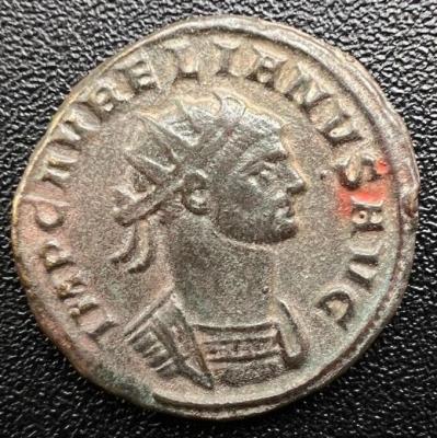 390__aurelian.thumb.jpg.ae2327def9890fd3a1e2859a213e0c0c.jpg