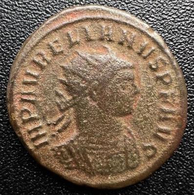 394_aurelian.thumb.jpg.cd57d3b67bd752f7817f3417bf51cf58.jpg