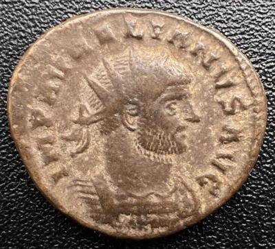402_aurelian.thumb.jpg.4762add5d082b7263299556499471e31.jpg