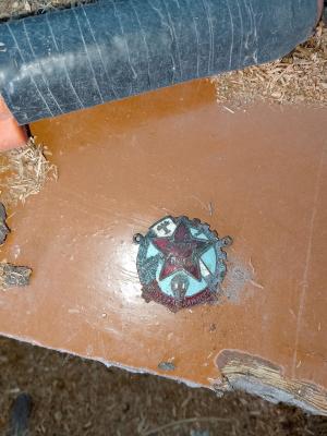 img_20240329_154716_810.thumb.jpg.e3cddd8a0cc3100fb84fc63d7eec6f82.jpg
