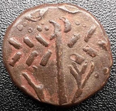 327.thumb.jpg.2c069ac1cc51248de7172ffadbdfeaa8.jpg