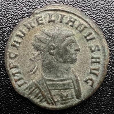 494_aurelian.thumb.jpg.9a9a5af5e0ccc2d68fc41e351b19e801.jpg
