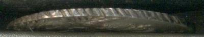1750g1.thumb.jpg.b02ac5d10f696b3f6803d3ee46c1a661.jpg