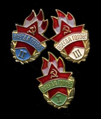 1997055.jpg