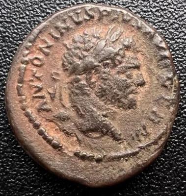568_caracalla.thumb.jpg.c601bf166c32449caff2d9664f265b3f.jpg