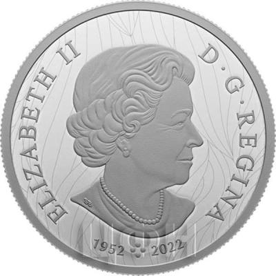 kan1.thumb.jpg.eed67a21890064e451f16566e43696d4.jpg