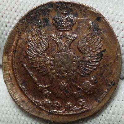 denga-1819-a.jpg
