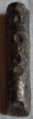 IMG20240529163017.jpg