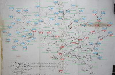 shalygi_drevo.jpg.8e4733fff47907b2abcceaea5accded0.jpg