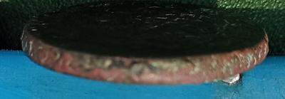 IMG_20240601_181401.jpg