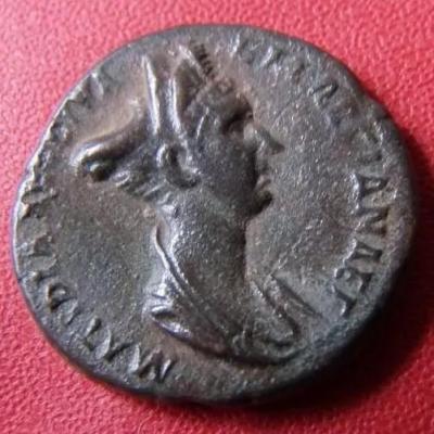 591_matidia.thumb.jpg.c81020c4826eaed9dda3c1934da5d515.jpg