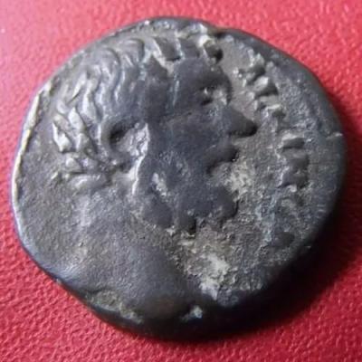 596_clodius_albinus.thumb.jpg.6d74dda37afb9a454c7bafb8c26c9dfd.jpg