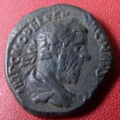 714_macrinus.thumb.jpg.b7ee7f90583771bc57ee53f90e093d4b.jpg