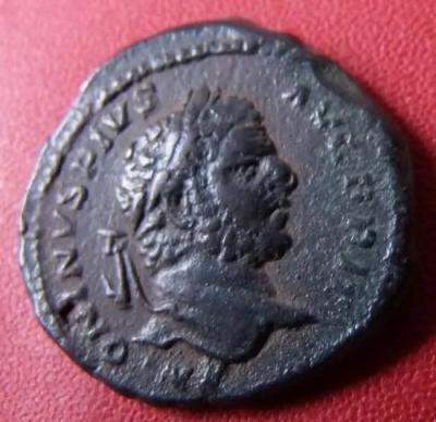 719_caracalla.thumb.jpg.2f7c8d4e005f28ff7de9f7d8ffac9921.jpg