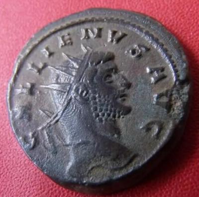 733_gallienus.thumb.jpg.c611d2dfced663e6a5c7f444685ddadf.jpg