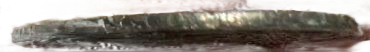 66666666_021.jpg.2eaf74d197b32728f943ce90f7598074.png