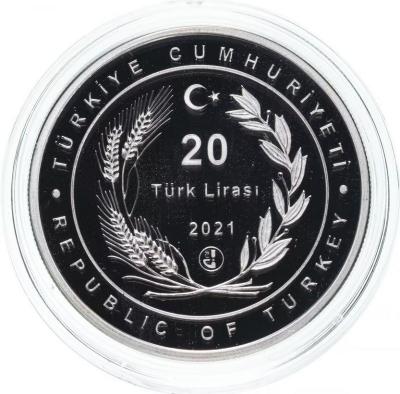turtsiya1.thumb.jpg.baa3974d1336d66292e20a0bce486367.jpg