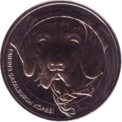 tur.thumb.jpg.8601b6d182e7aa82a0049c1bf90679f3.jpg