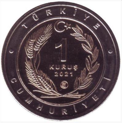 tur1.thumb.jpg.d37f2d0f8dbfb0c8a443ec343b57d1f6.jpg