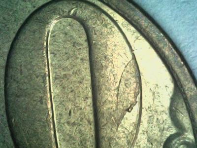 20240702-115755-336.thumb.jpg.1086b5b9e89abfb61bc145b27ad6dff5.jpg