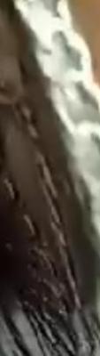 20240706_214646.thumb.jpg.be9dd538ca72daeff39d3dc539c2bb9d.jpg