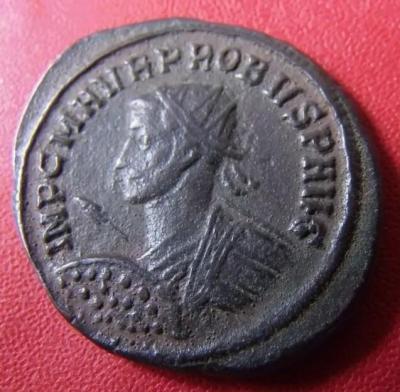 593_probus.thumb.jpg.bf2c0f968ca6c20c10b000f56a666211.jpg