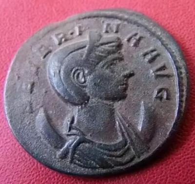 881_severina.thumb.jpg.27eab309078acc7bc9335d3b15a39d8b.jpg