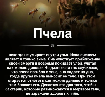 Screenshot_20240715-135746.png