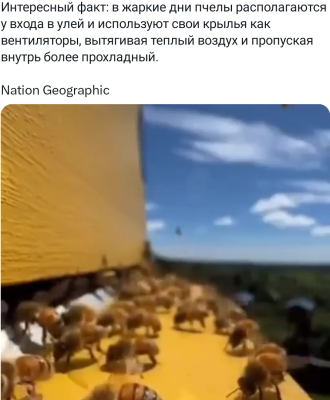 Screenshot_20240814-002658.png