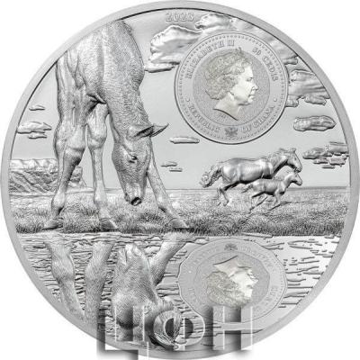 losh1.thumb.jpg.2678fc3e1356ae0cd558edd5cd12d2c6.jpg
