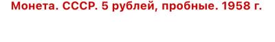 IMG_3555.jpeg