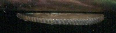 g1_001.thumb.jpg.0282a472db4faa3469b6a994049e660d.jpg