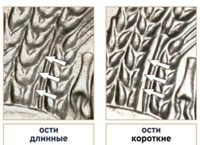 20240919_153638.jpg