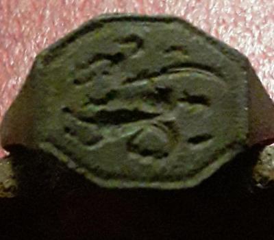20240920_203303-1.jpg
