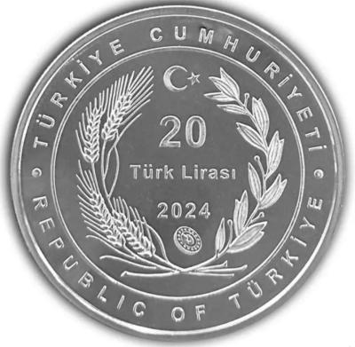 tur3.thumb.jpg.3835a4f88a75872bd5a7a89be96de7e4.jpg