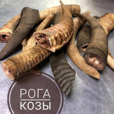 VujidtAWipA.jpg