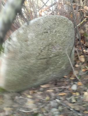20240928_014007.jpg