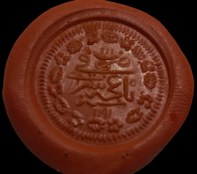 315050833111111-Photoroom.png