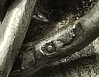 IMG20241011141426.jpg